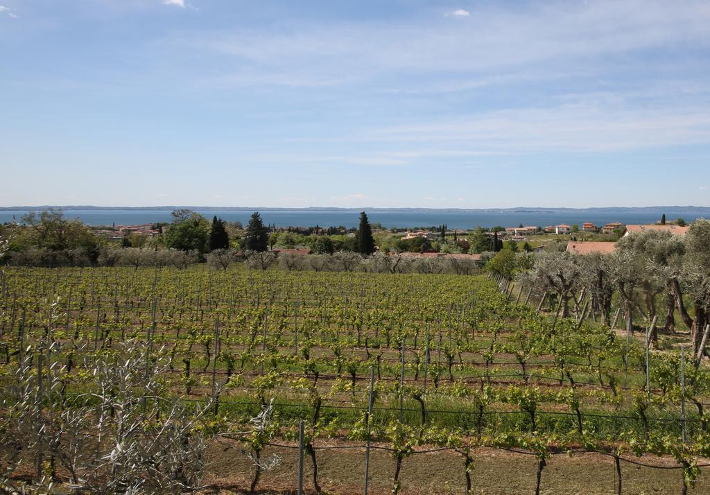 Appartamenti Bellavista Bardolino Extérieur photo